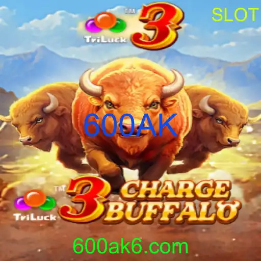 3ChargeBuffalo